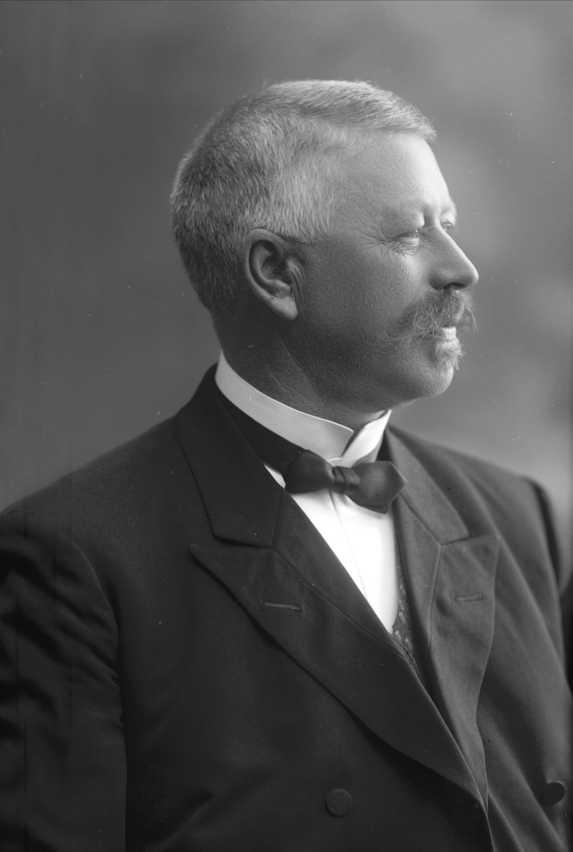 Gustav Borgen, NFB.41469