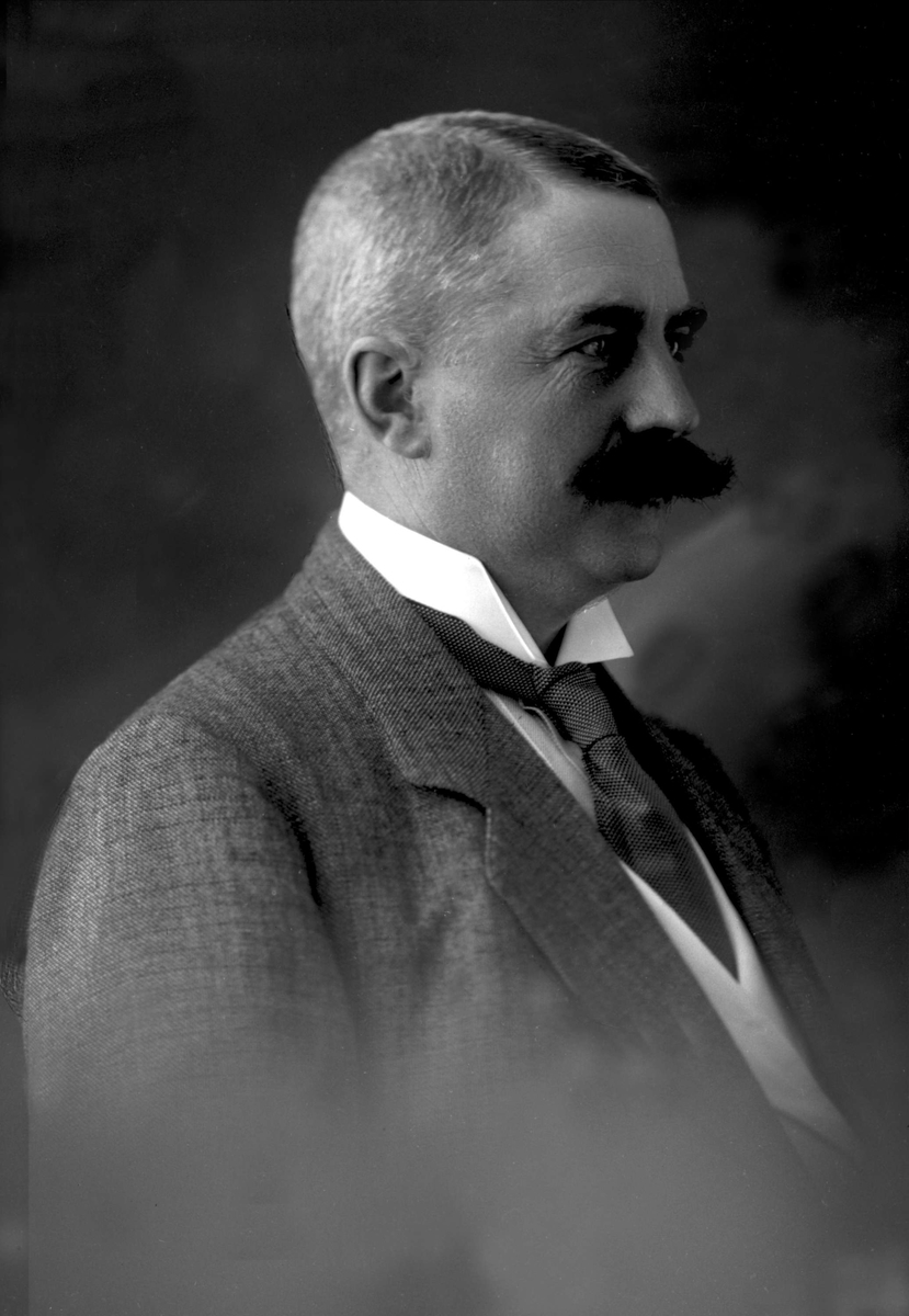 Gustav Borgen, Portrett, Ivar Aavatsmark.