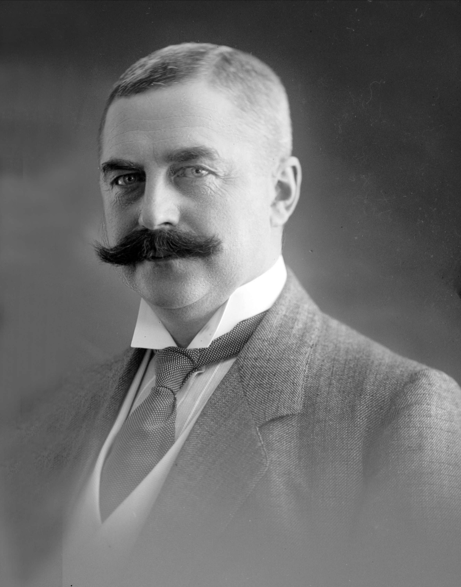 Gustav Borgen, Portrett, Ivar Aavatsmark.