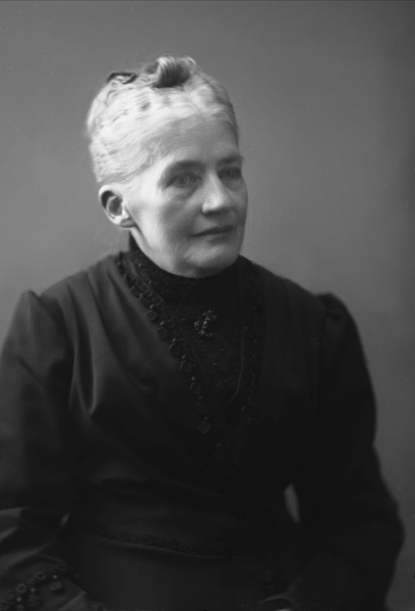Gustav Borgen, NFB.49005