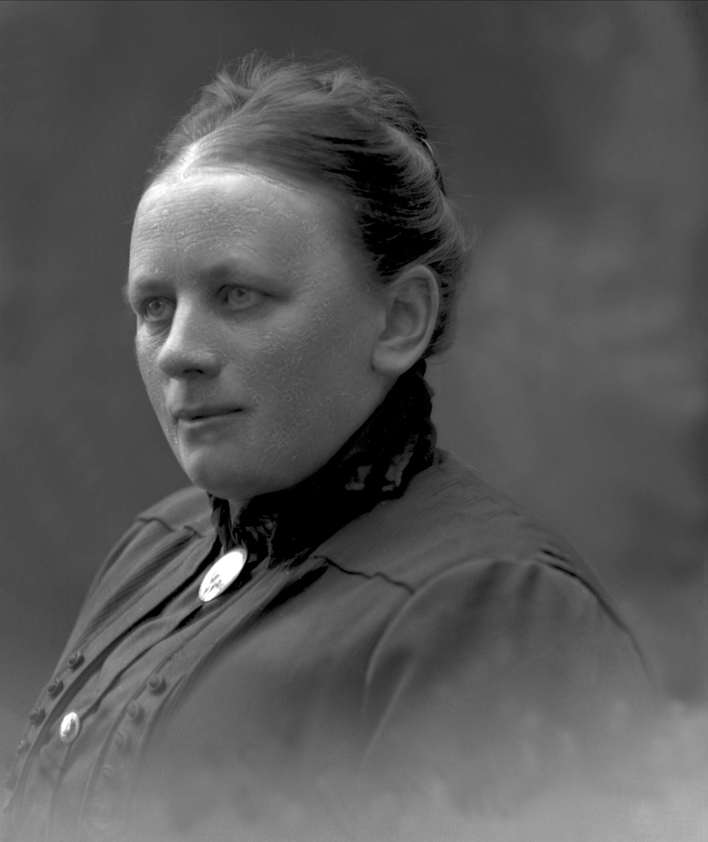 Gustav Borgen, NFB.49431