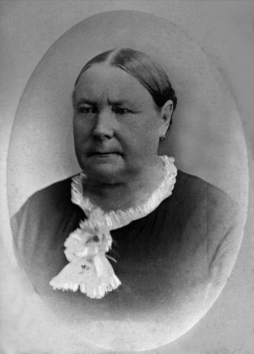 Gustav Borgen, Avfotografering.