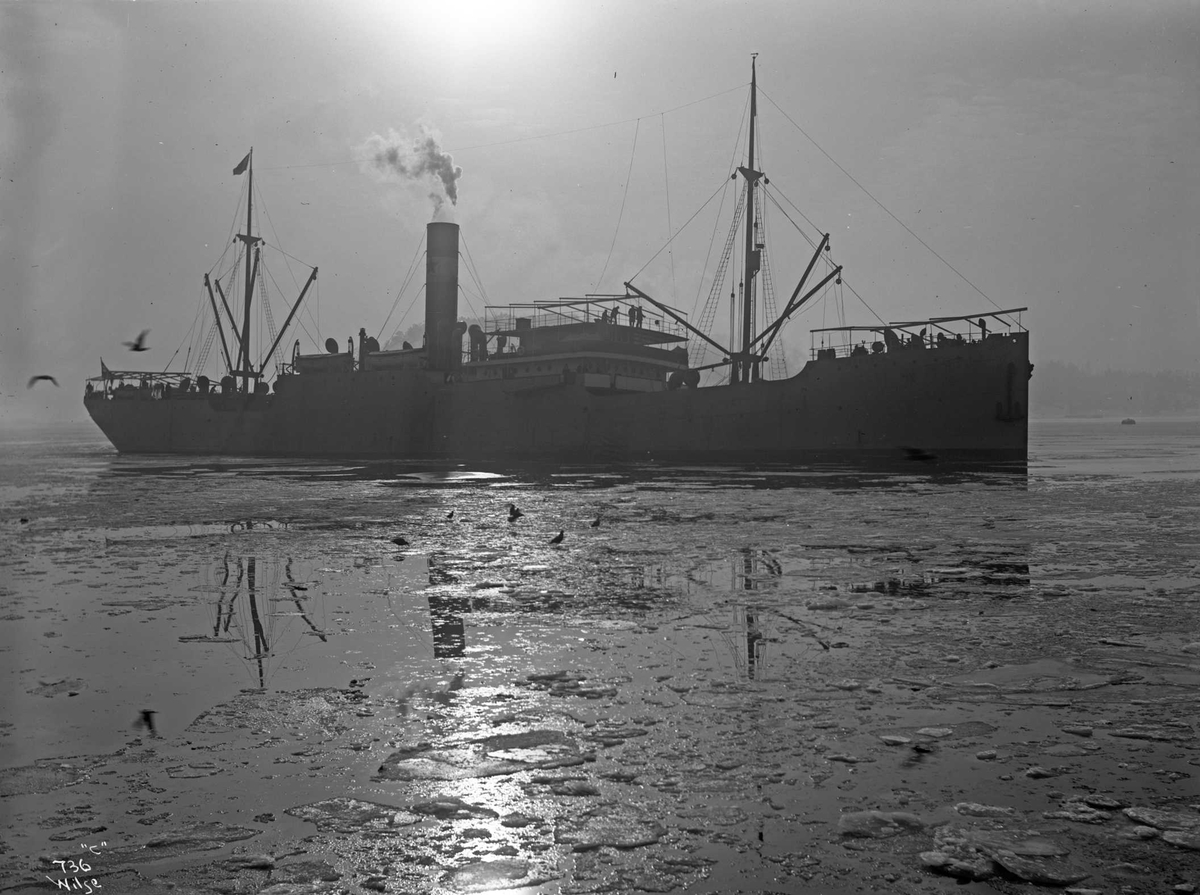 Anders Beer Wilse, D/S Noruega (b. 1909, Fevigs Jernskibsbyggeri, Grimstad)