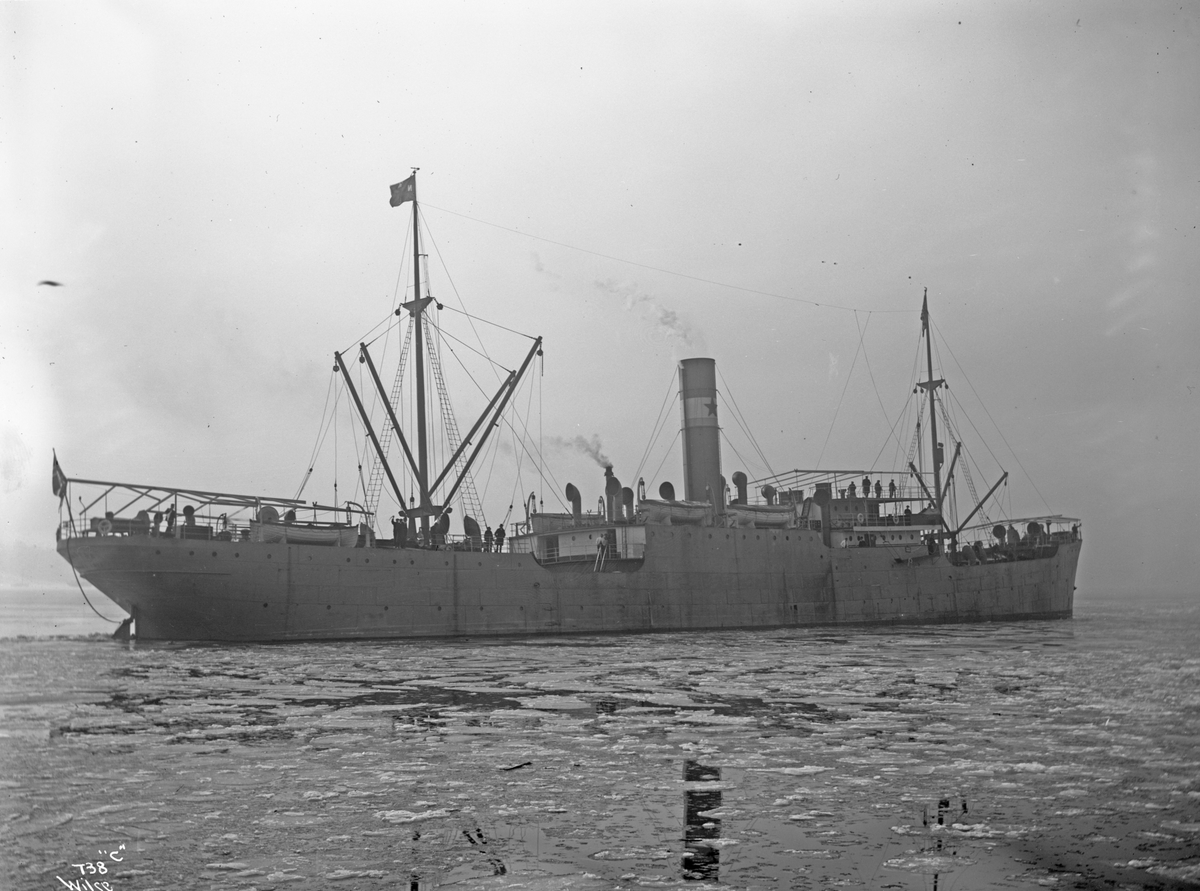 Anders Beer Wilse, D/S Noruega (b. 1909, Fevigs Jernskibsbyggeri, Grimstad)