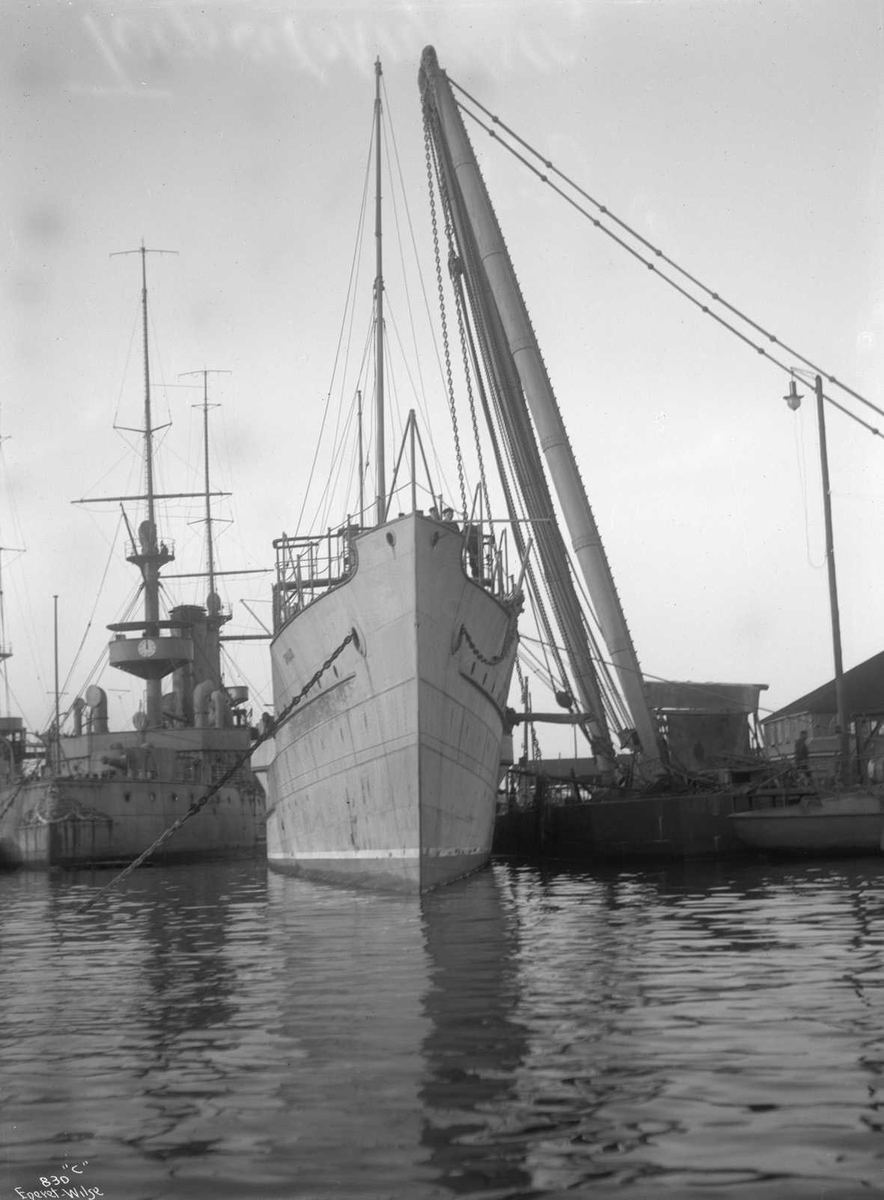 Anders Beer Wilse, Draug (b. 1908, Karljohansvern Verft, Horten), torpedokrysser,