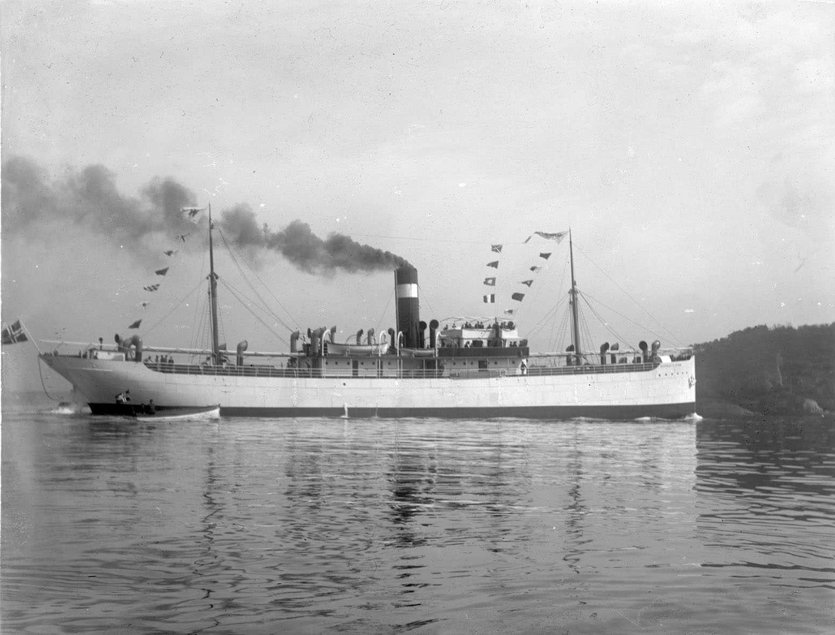 Anders Beer Wilse, D/S Maria de Georgia (b. 1911, Nylands Verksted, Christiania)