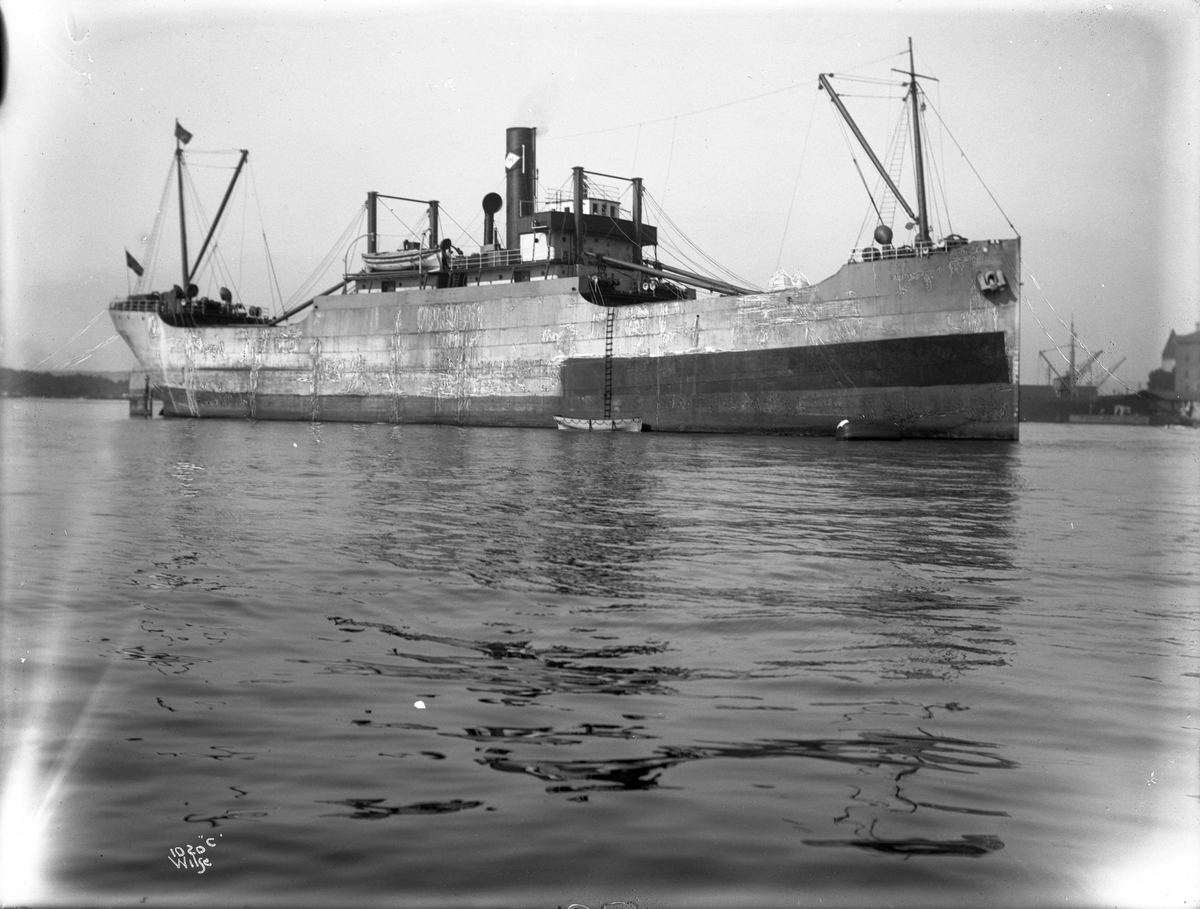 Anders Beer Wilse, D/S Blaamyra (b. 1916, Western Dry Dock & Shipbuilding Co., Port Arthur, Ontario)