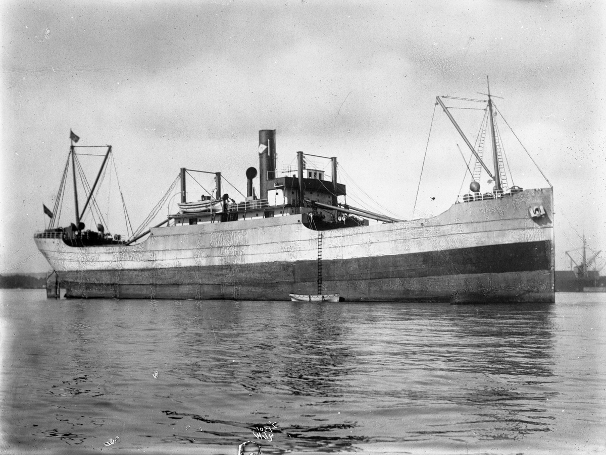 Anders Beer Wilse, D/S Blaamyra (b. 1916, Western Dry Dock & Shipbuilding Co., Port Arthur, Ontario)