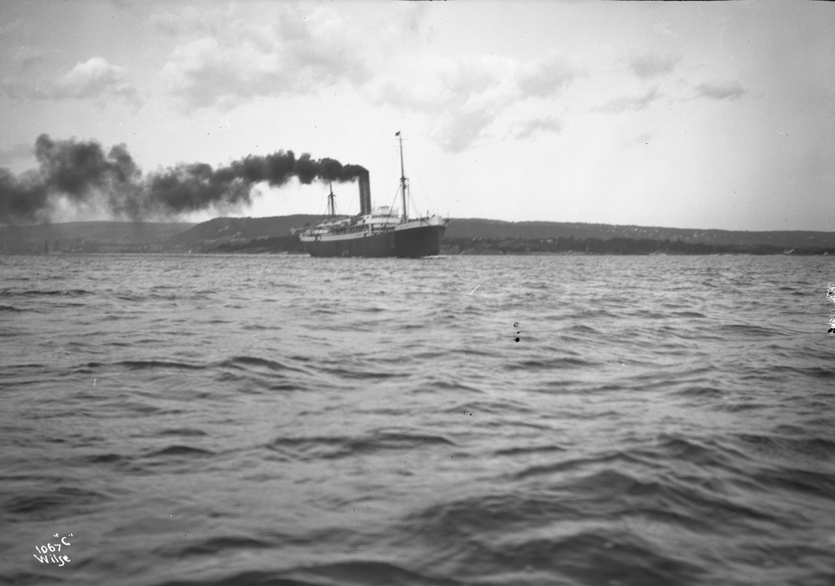 Anders Beer Wilse, D/S Orlando (b. 1904, Hall, Russell & Co., Hull)