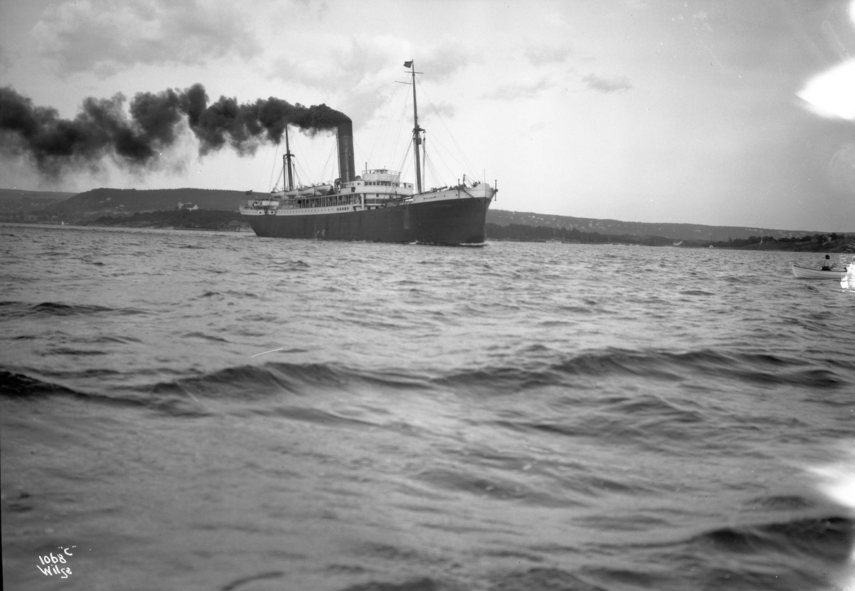 Anders Beer Wilse, D/S Orlando (b. 1904, Hall, Russell & Co., Hull)