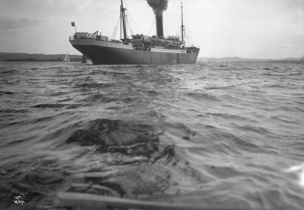 Anders Beer Wilse, D/S Orlando (b. 1904, Hall, Russell & Co., Hull)