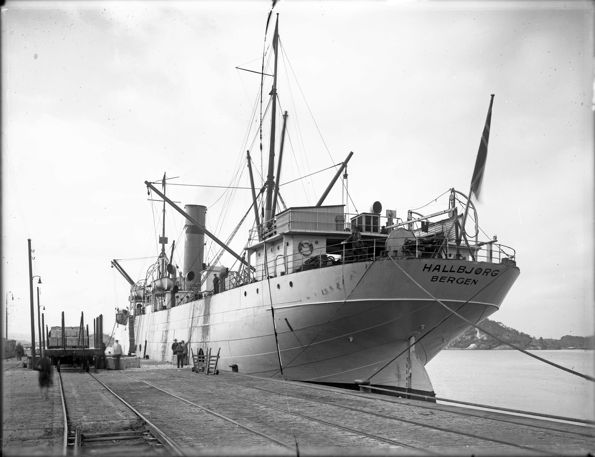 Anders Beer Wilse, D/S Hallbjørg (b. 1900, Sir Raylton Dixon & Co., Middlesborough)