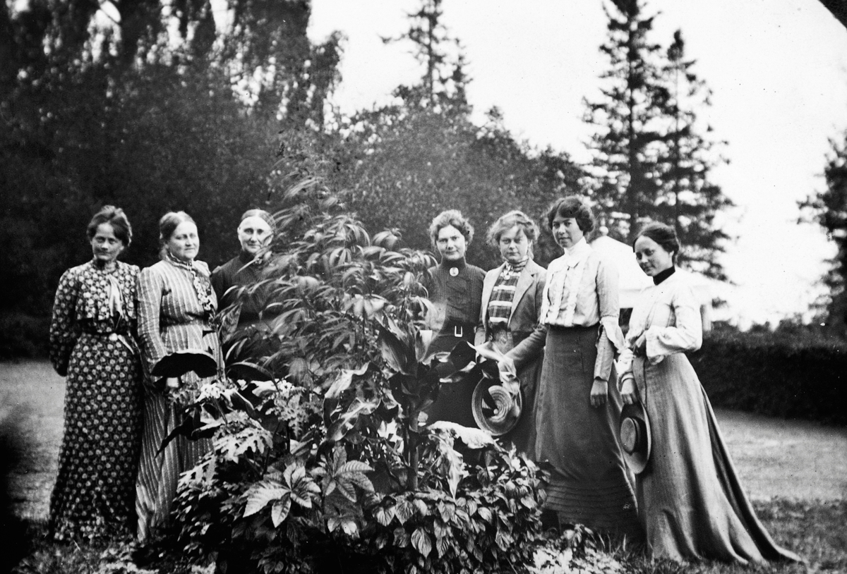 Anno Domkirkeodden, 7 damer i hagen på Hovinsholm, Helgøya.