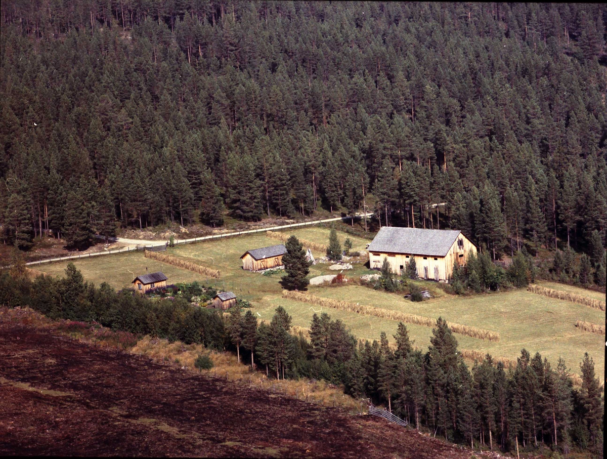 Widerøes Flyveselskap A/S, Gårdsbruk. Sørgård (Søgaard)