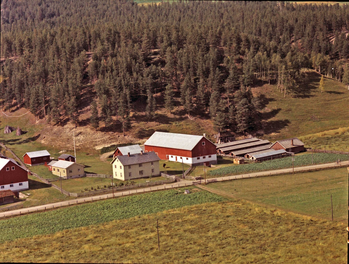 Widerøes Flyveselskap A/S, Gårdsbruk (Taraldstea/Synnate).