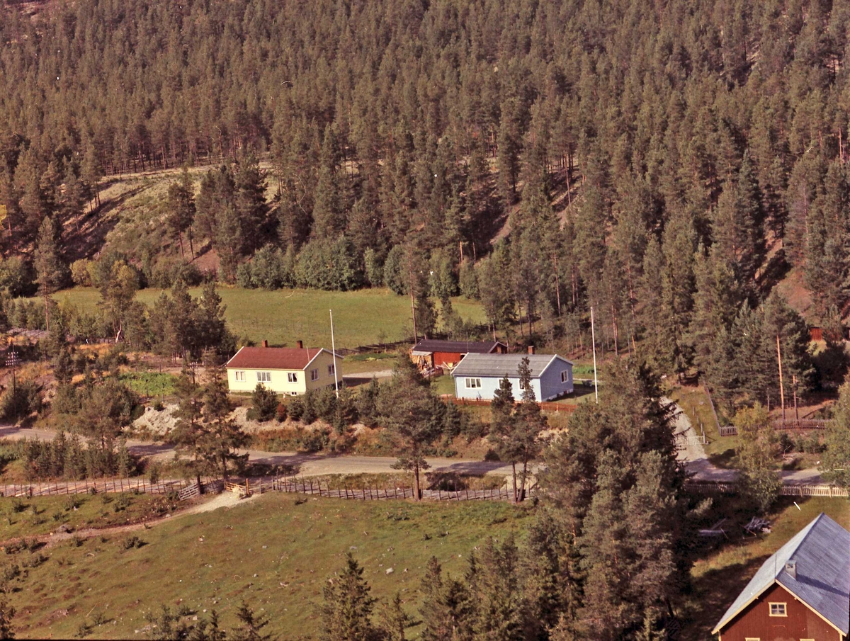 Widerøes Flyveselskap A/S, Gårdsplass. Sagplass og Skogli