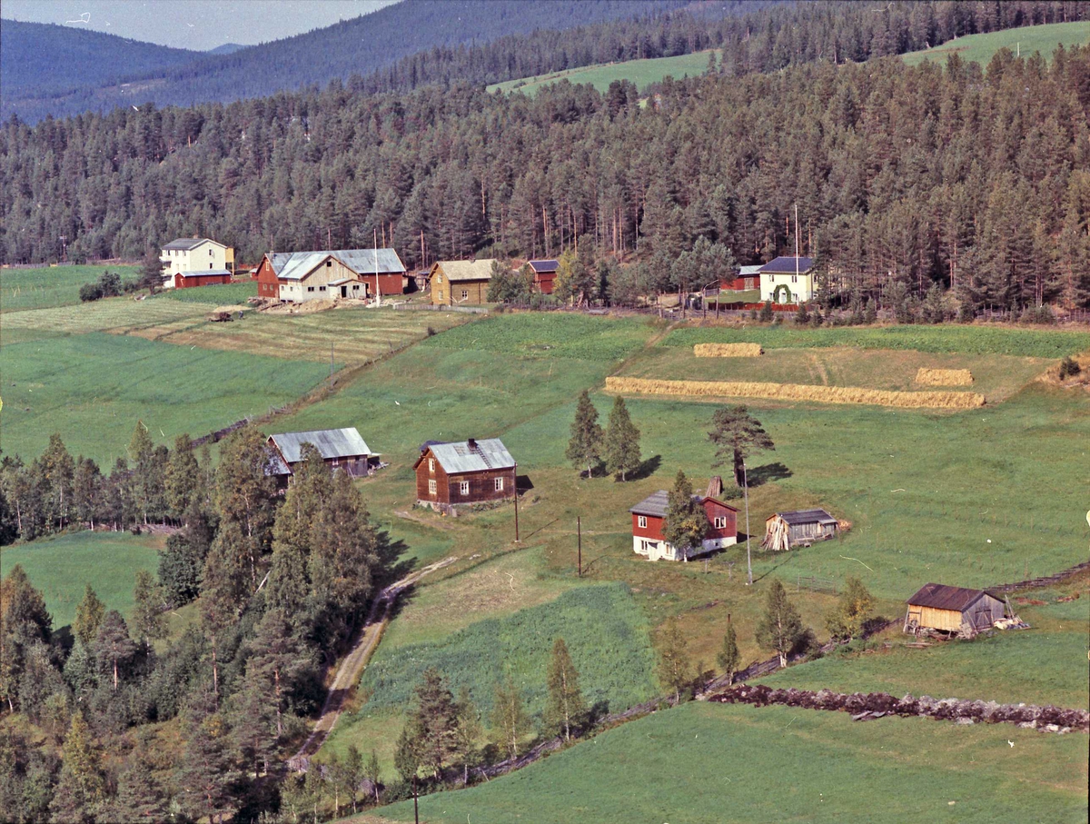 Widerøes Flyveselskap A/S, Gårdsbruk. Nyrønning