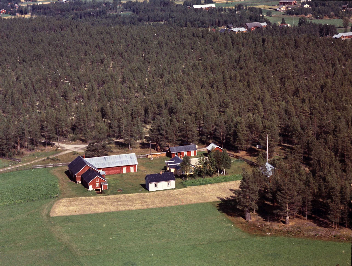 Widerøes Flyveselskap A/S, Gårdsbruk (Amundsplass).