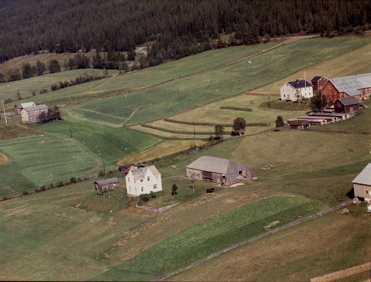 Widerøes Flyveselskap A/S, Gårdsbruk.