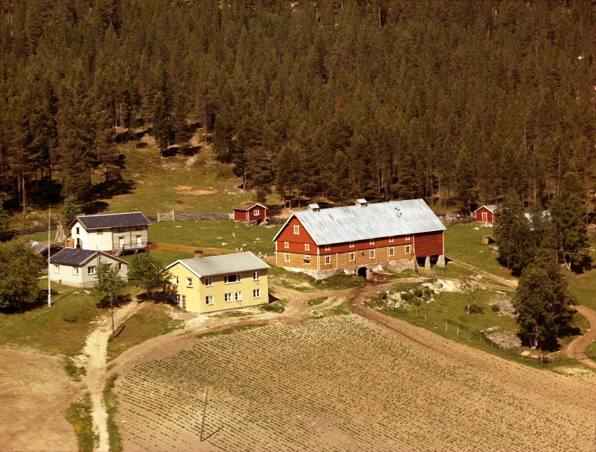 Widerøes Flyveselskap A/S, Gårdsbruk (Øver Lia) Lien.