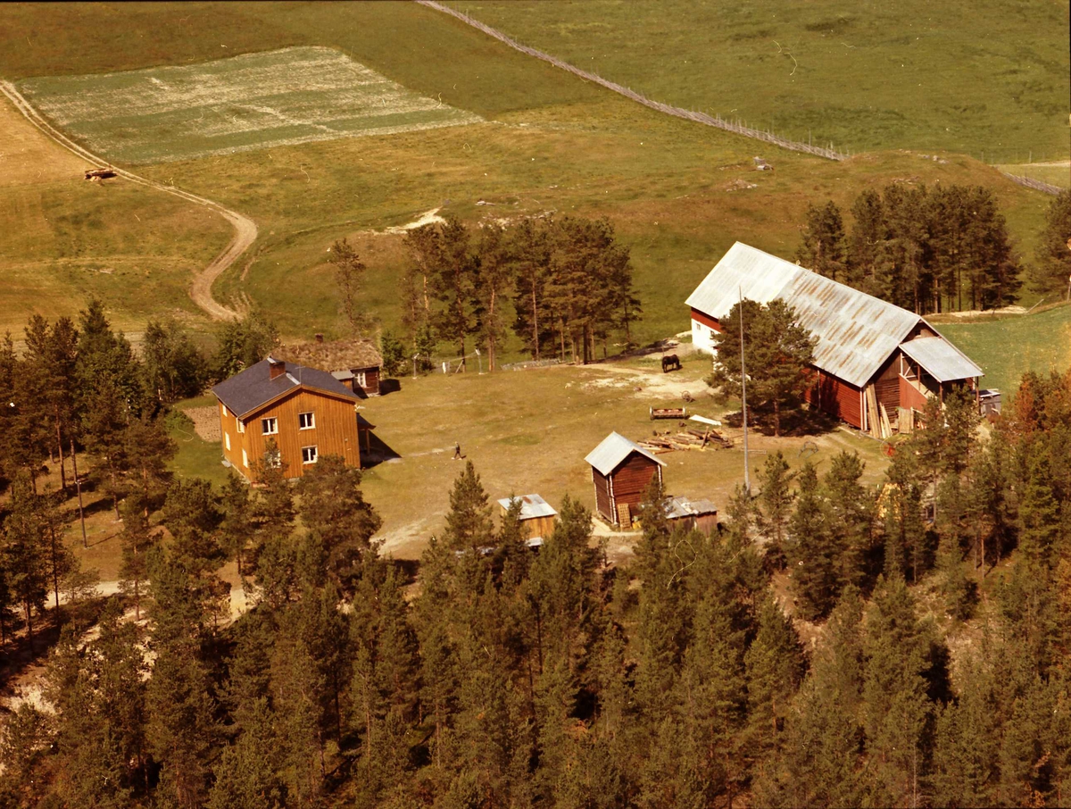 Widerøes Flyveselskap A/S, Gårdsbruk.