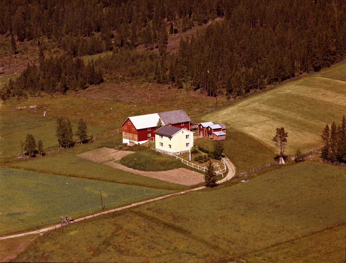 Widerøes Flyveselskap A/S, Gårdsbruk (Nestebytrøen).