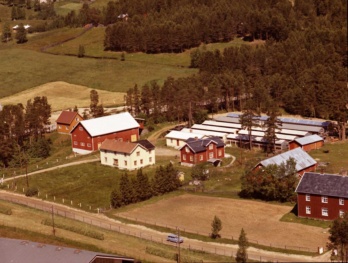 Widerøes Flyveselskap A/S, Gårdsbruk.