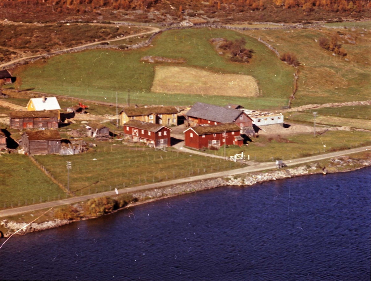 Widerøes Flyveselskap A/S, Gårdsbruk.