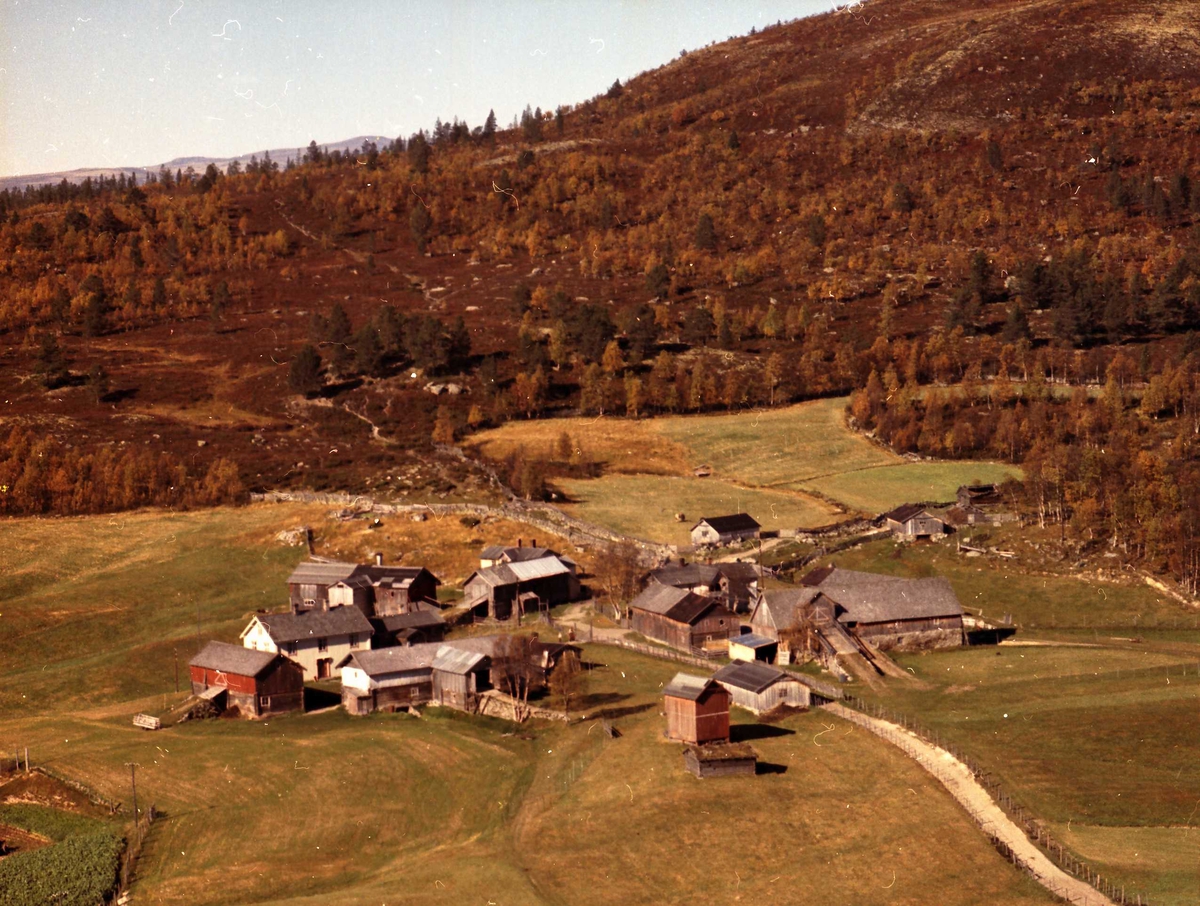 Widerøes Flyveselskap A/S, Gårdsbruk (Bakken Østre, Nordre og Vestre).