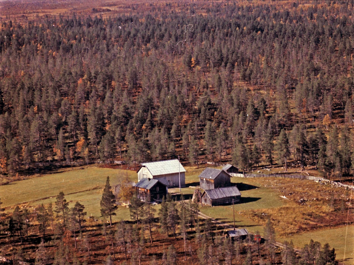 Widerøes Flyveselskap A/S, Gårdsbruk.