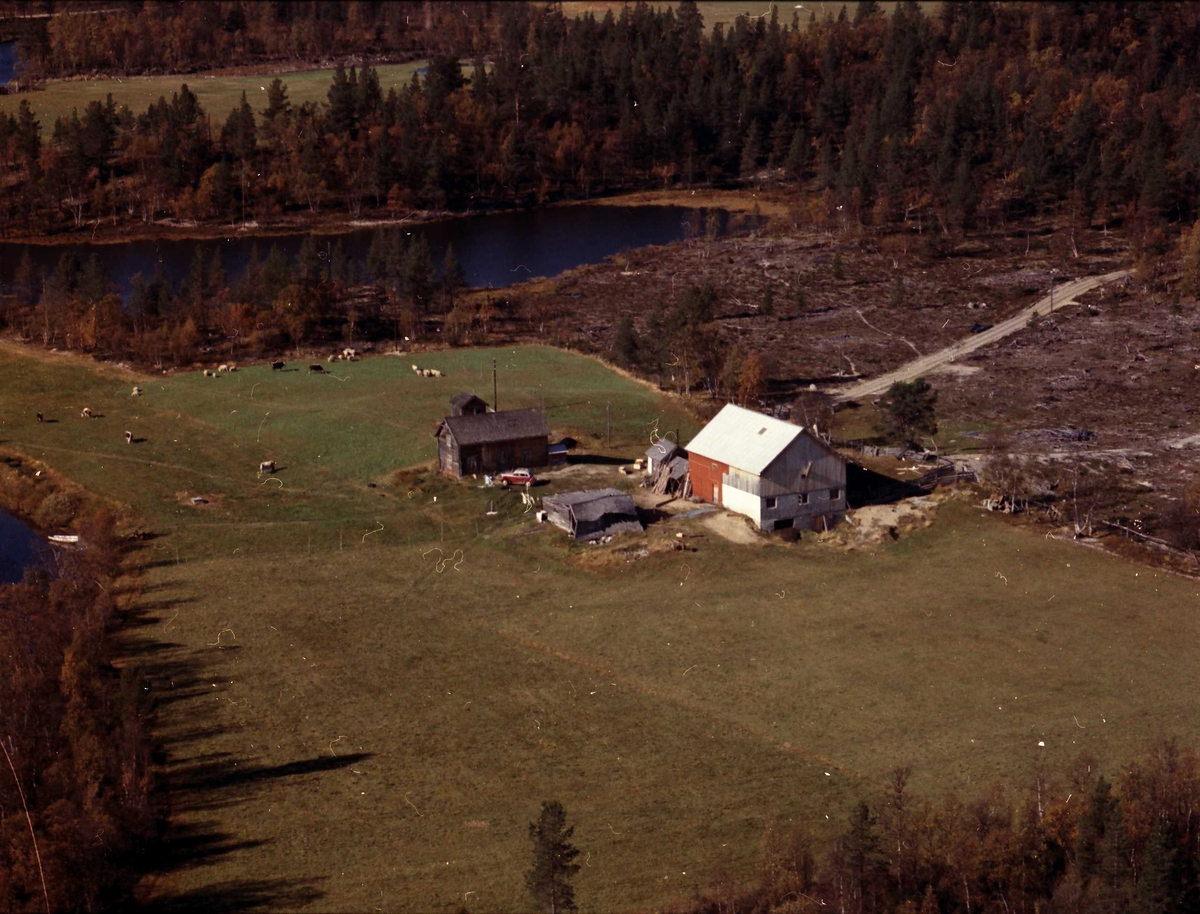 Widerøes Flyveselskap A/S, Gårdsbruk.