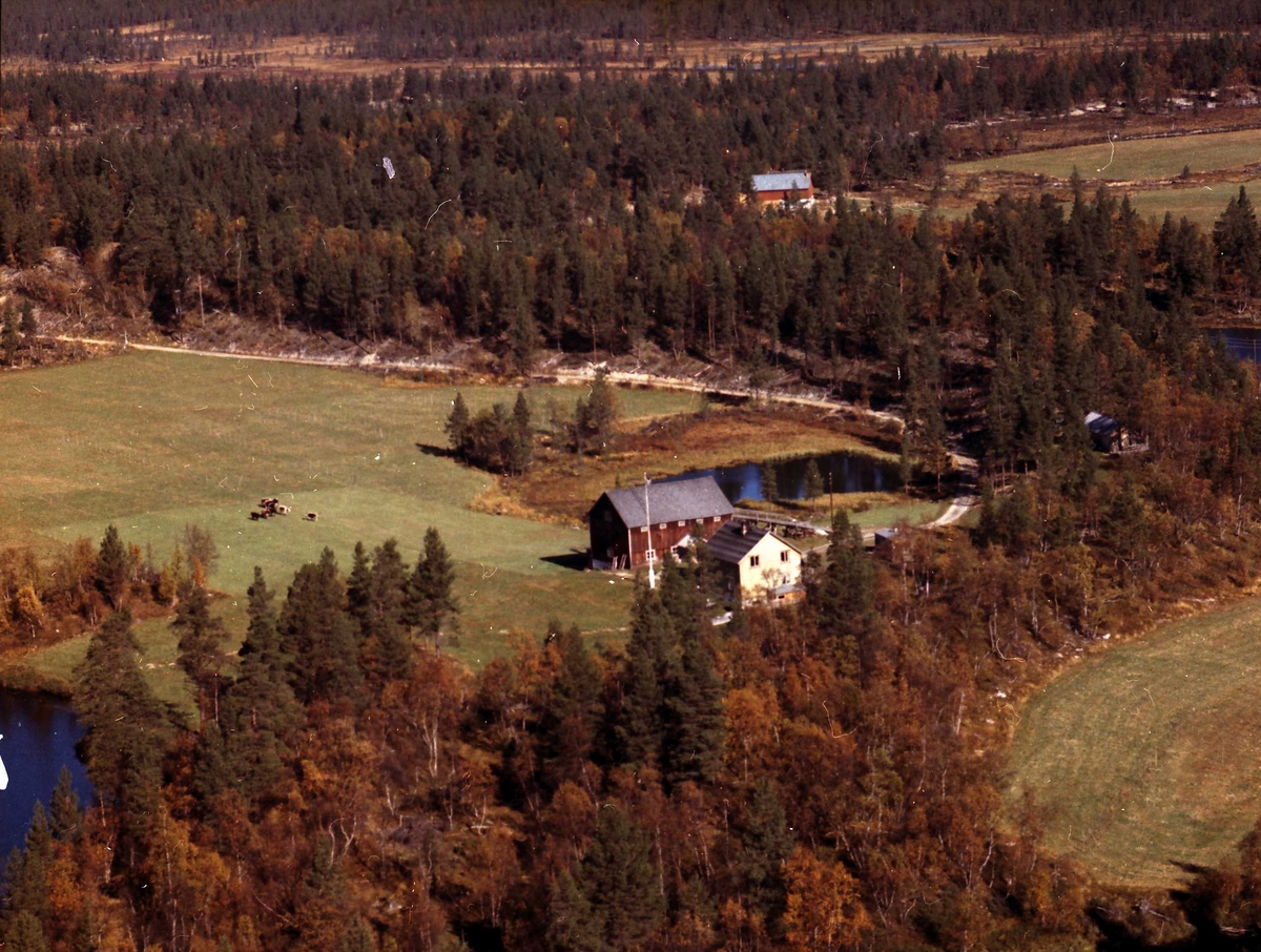 Widerøes Flyveselskap A/S, Gårdsbruk.