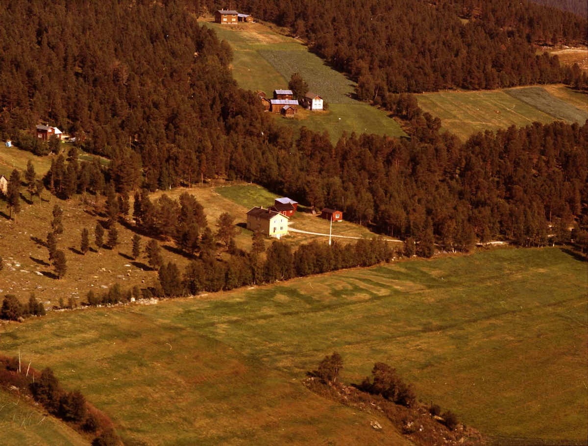 Widerøes Flyveselskap A/S, Gårdsplass.