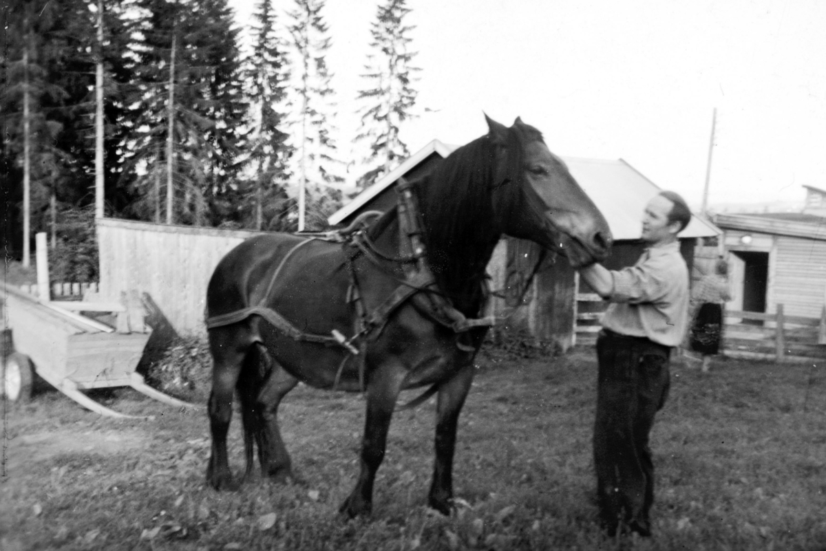 Ukjent, Hvebergshagan, Solvang, ca. 1945. Henry Johansen med hesten Bella Donna. Lottenvegen 27 B. Vang H.
