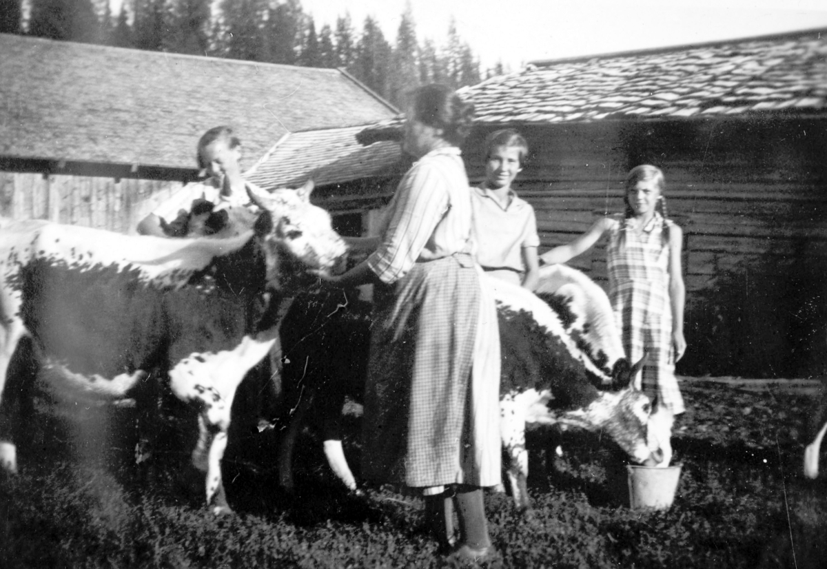 Ukjent, Skramstadøya, seter, Bringebu, kyr, buskap, ukjente kvinner. F.v Gerd Wettre.
