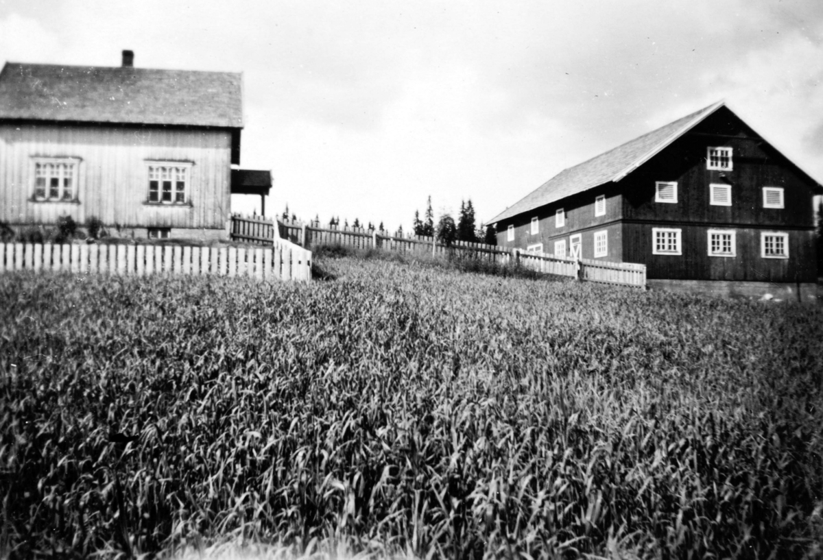 Ukjent, Lihagen gård, Østås, Vang.