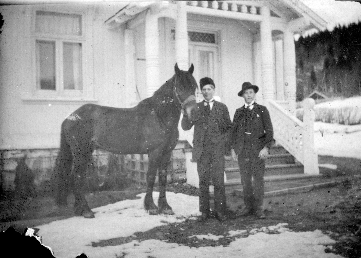 Ukjent, Petter Olstad (1899-1965) står ved hesten. Petter tjente ved Åsta i Østerdalen ei tid.