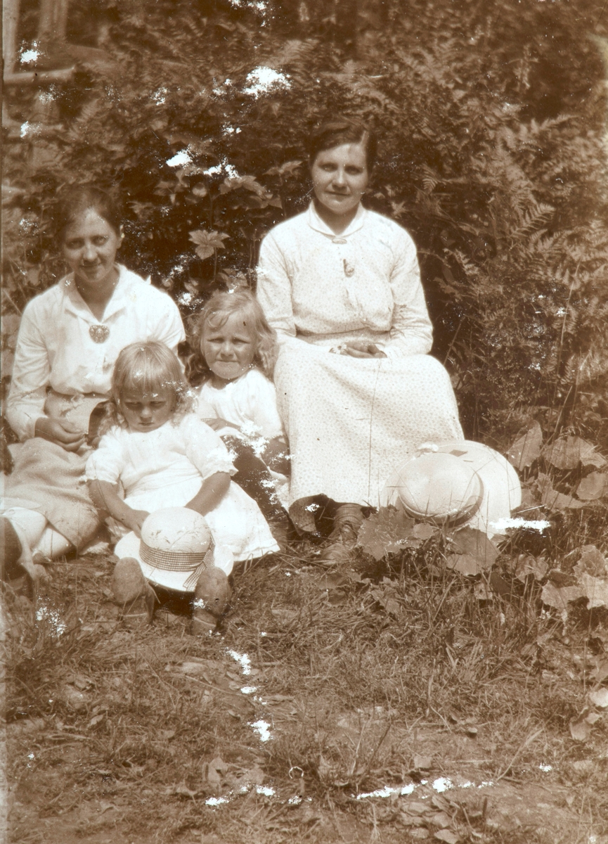 Ukjent, Øvre Tomter (60/1). Syverine og Antonie Hansen fra Nes. De ble gift med brødrene Halvor Tomter og Jens Dystvold. Sammen med brorens barn.