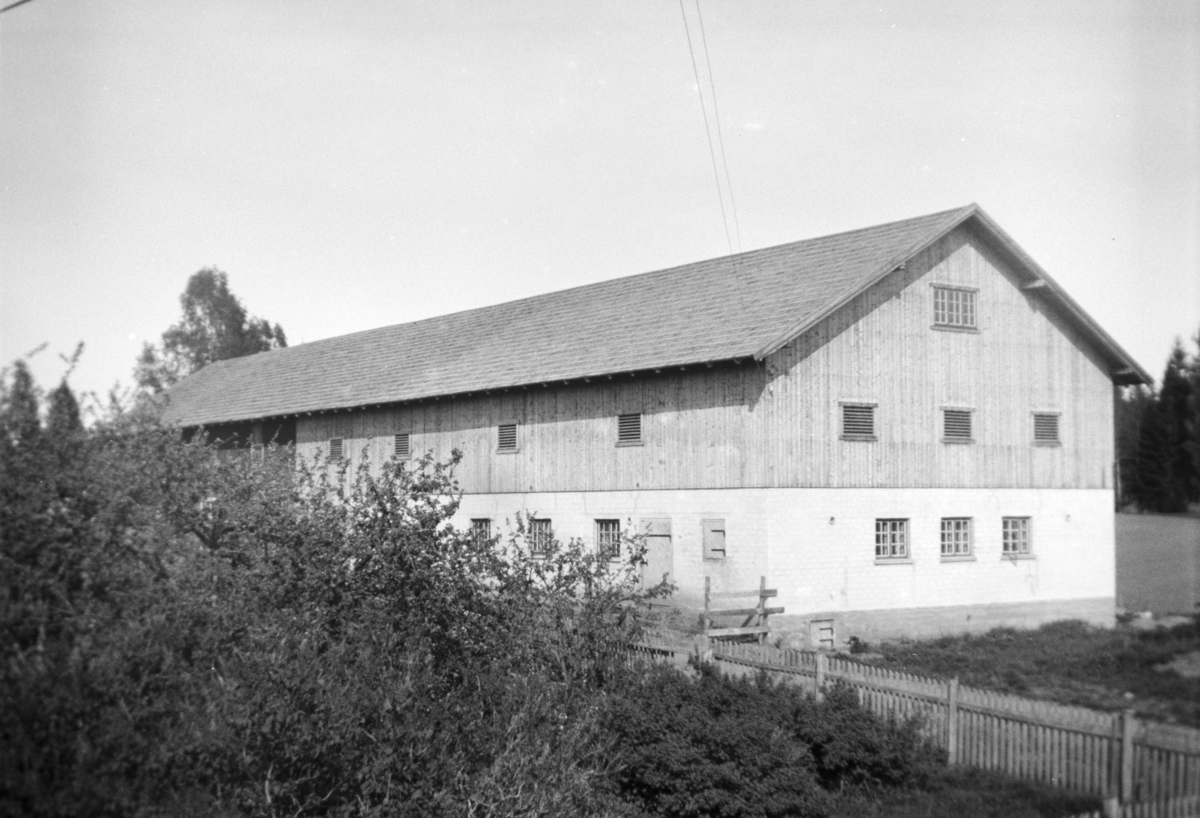 Ukjent, Nedre Tomter (60/2). Ca 1940. Låve.