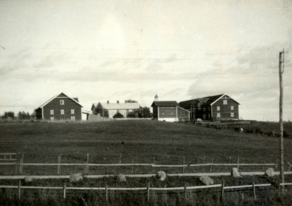 Ukjent, 79-1. Opsahl Store, Vang H. Ca. 1930.