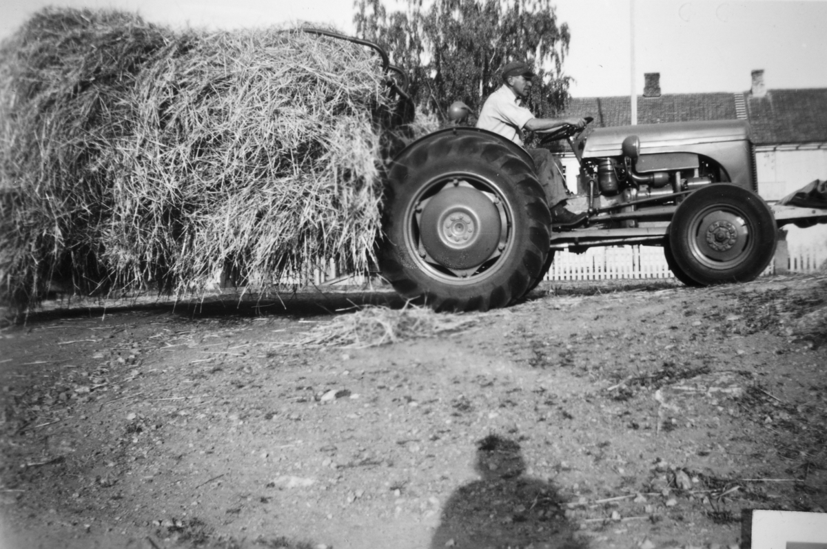 Ukjent, Opsahl, store, 79-1, Vang H. Slåttonn, innkjøring av høy, traktor, ca. 1955. Syver Opsahl f. 1915 på traktoren.