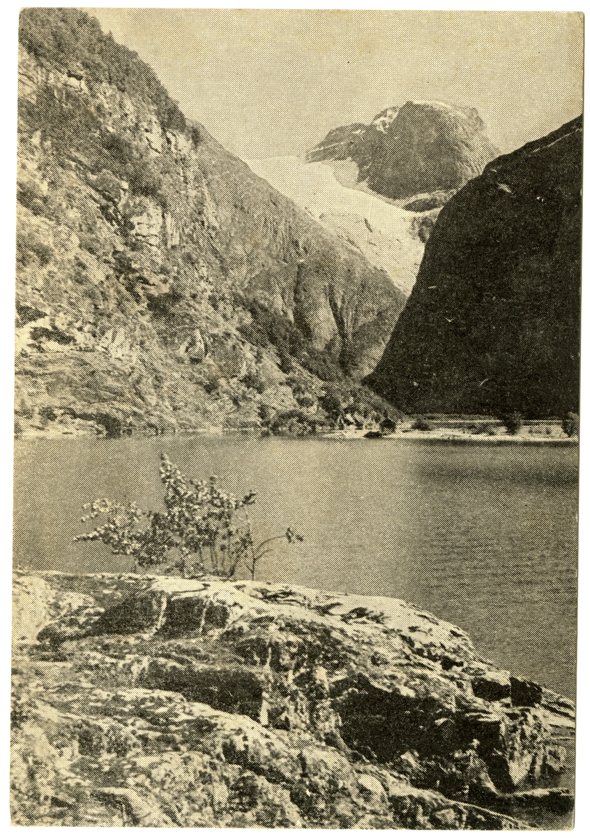 Anders Beer Wilse, Kronbreen - Loen