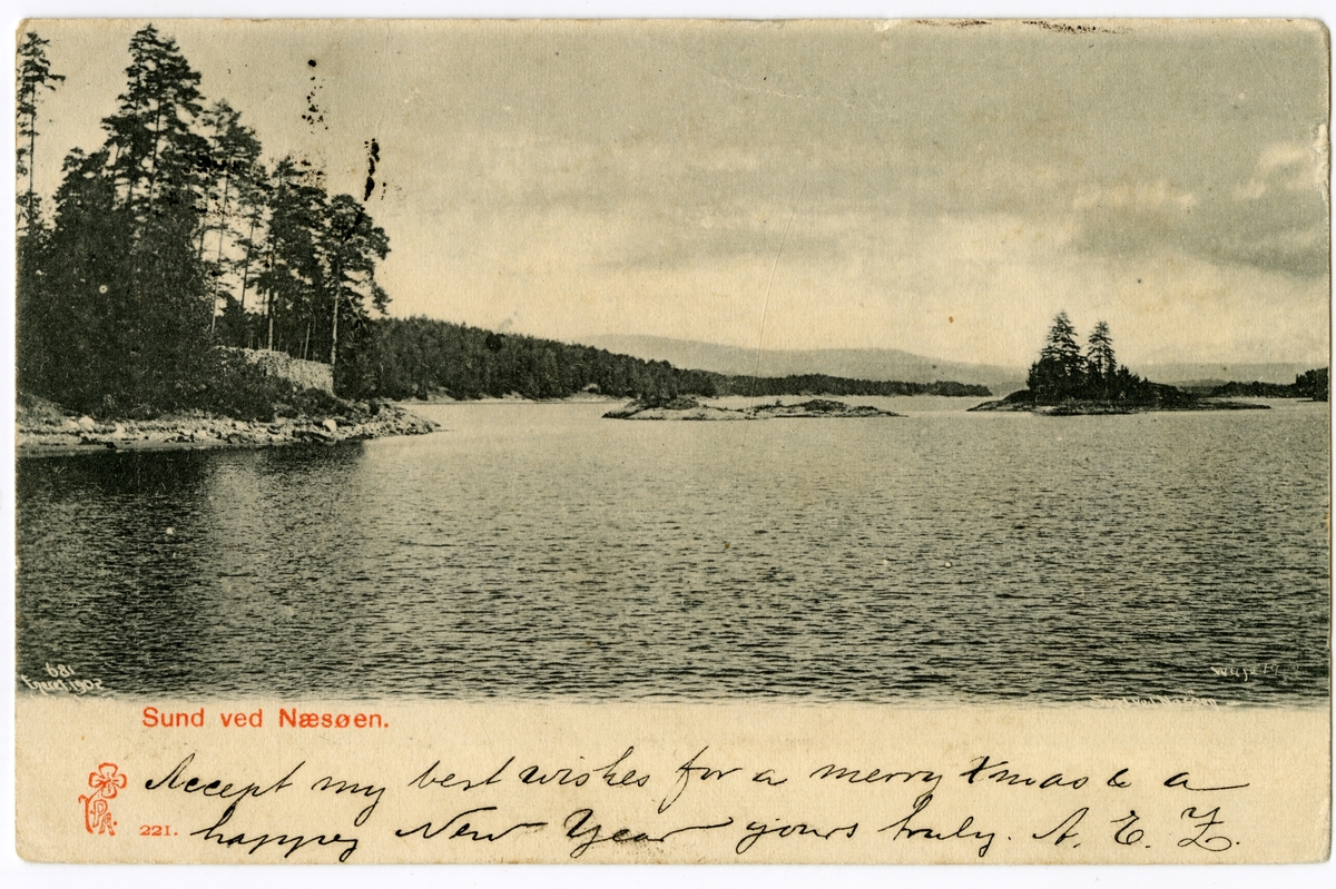 Anders Beer Wilse, Sund ved Næsøen