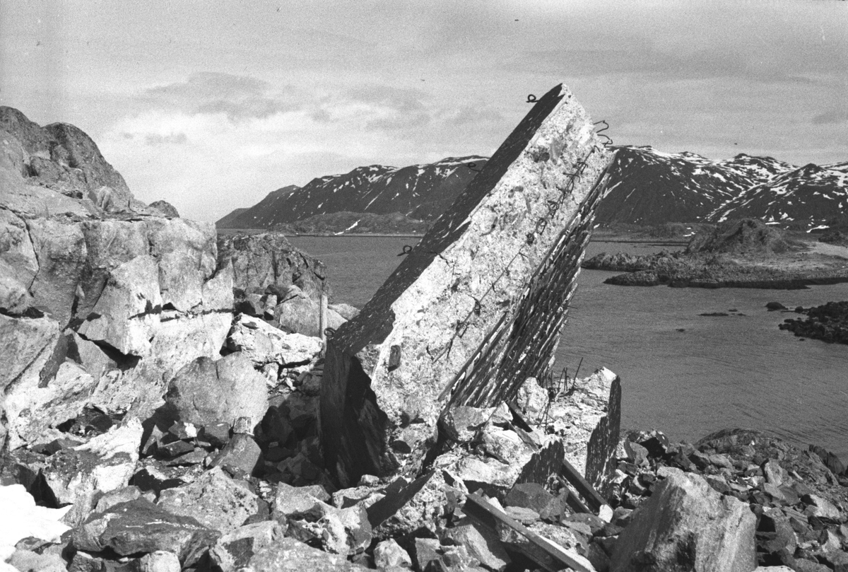 Ola Hanche-Olsen, NO.F003937