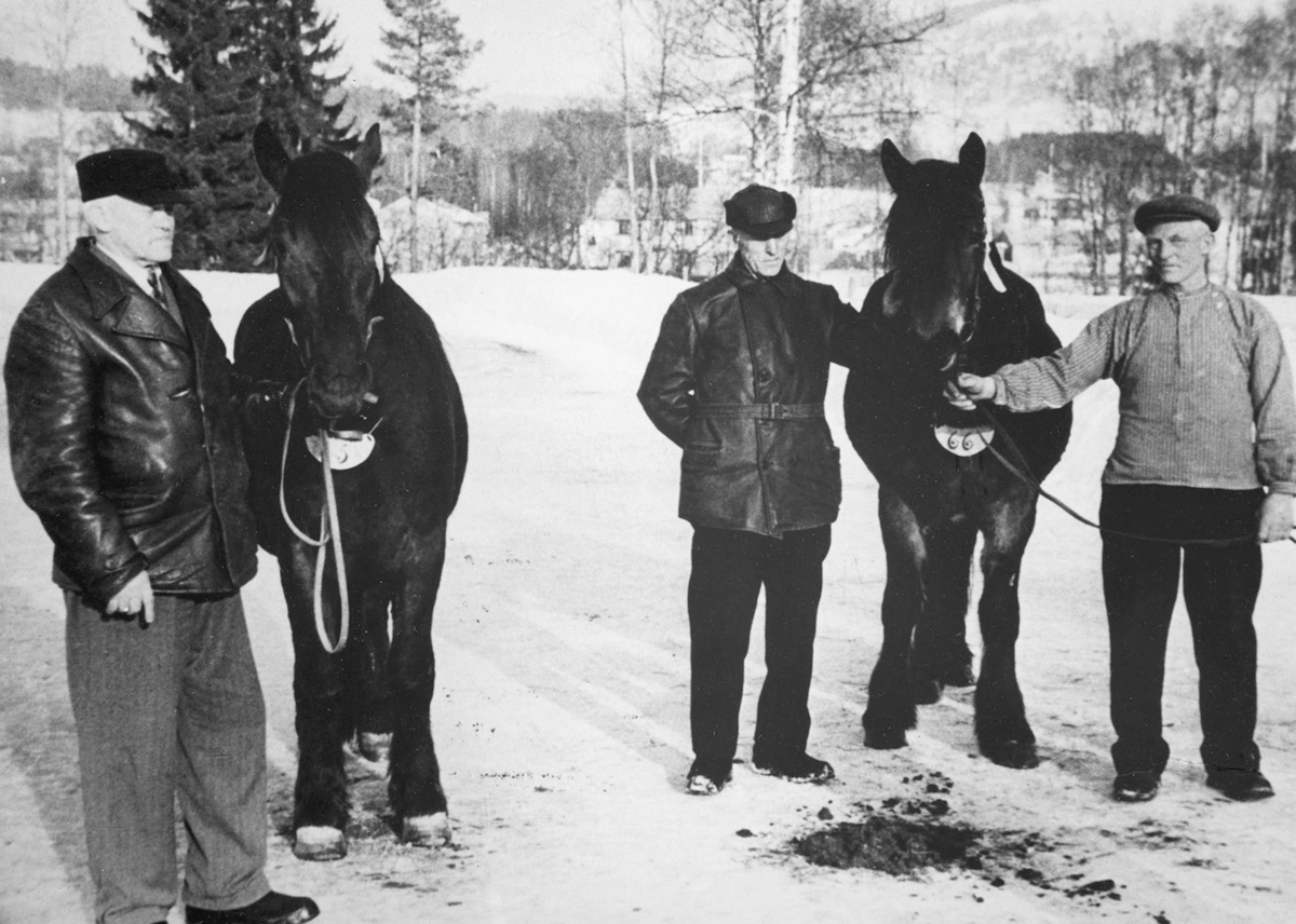 Ukjent, Haug Gnr. 191-1. F.v. Thomas Haug, Asbjørn Haug, Anders Haug, travhester.