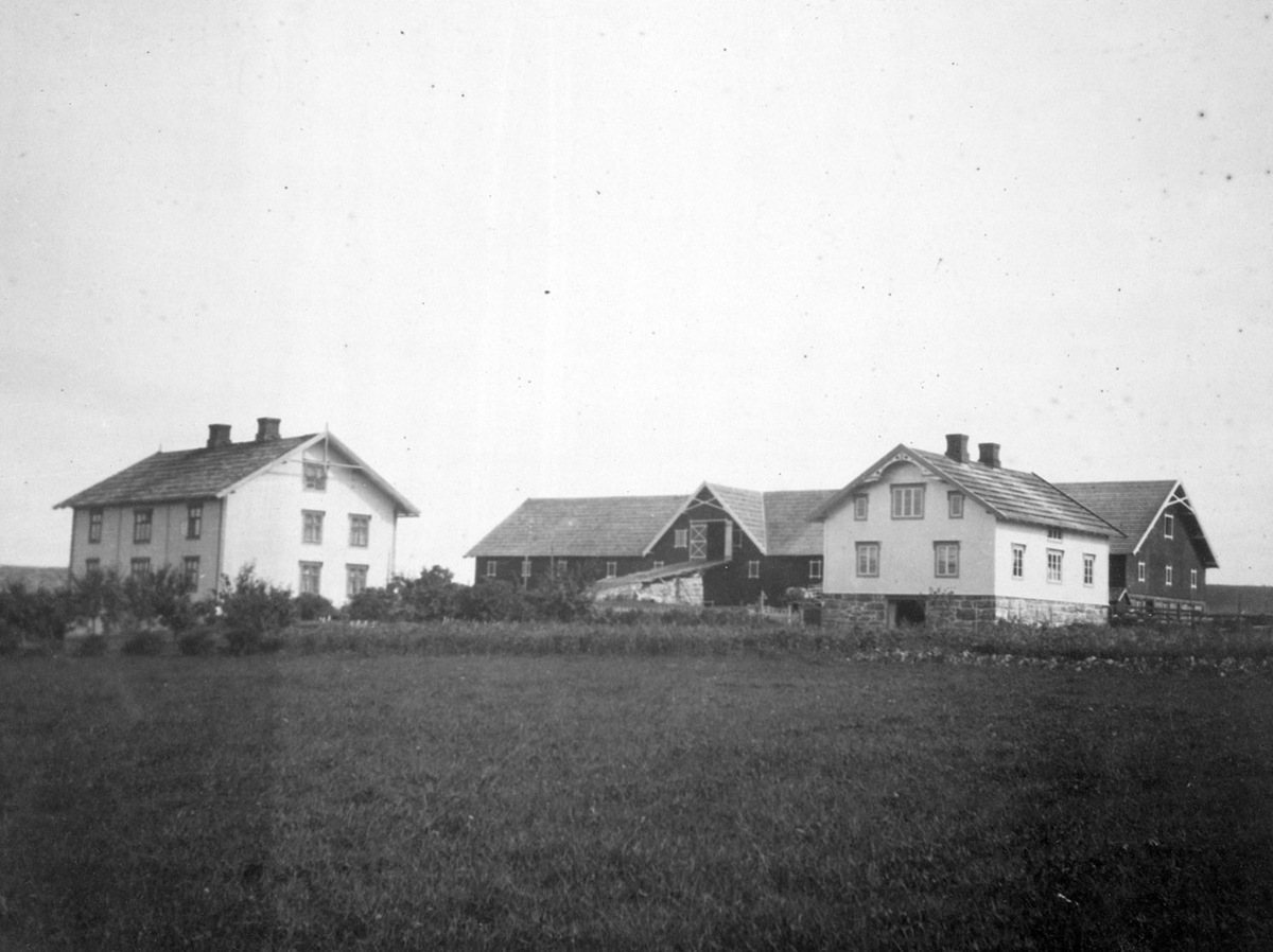 Ukjent, Haug Gnr. 191-1. Eksteriør, oversikt gårdsbebyggelsen.