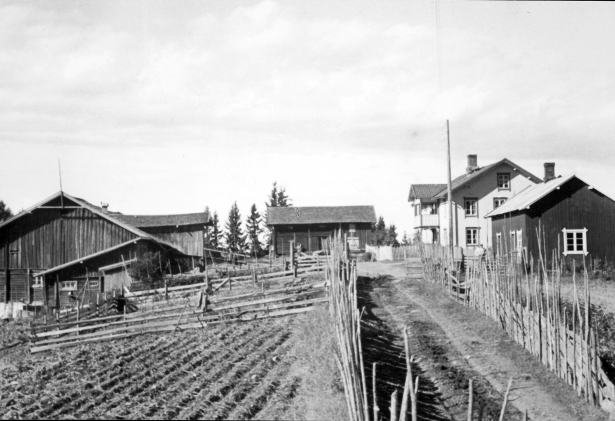 Ukjent, Vengshol vestre, 193-1, bebyggelsen, skigard, gjerde.