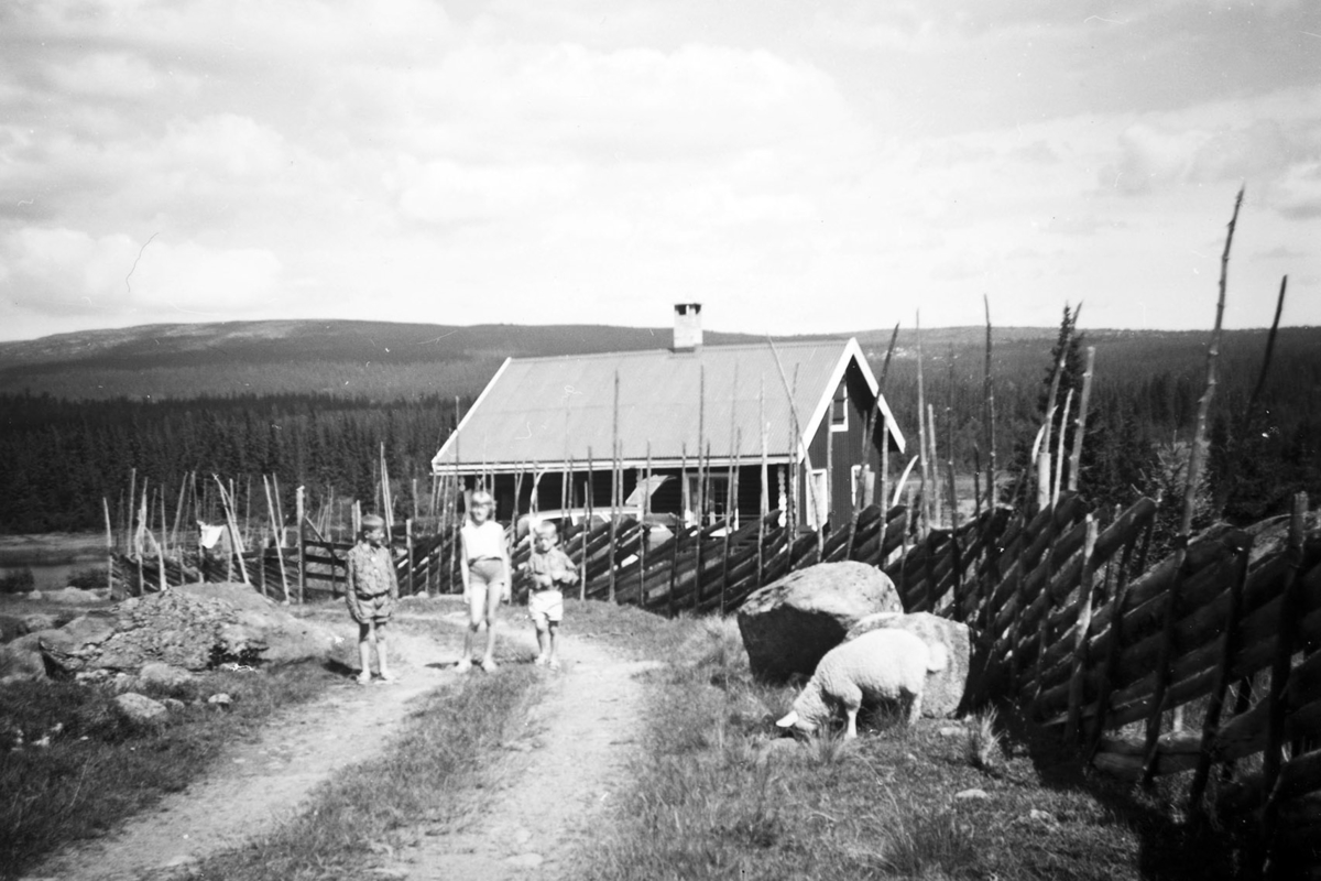 Ukjent, Haug Gnr. 191, Hytte på Kvarstadsetra,