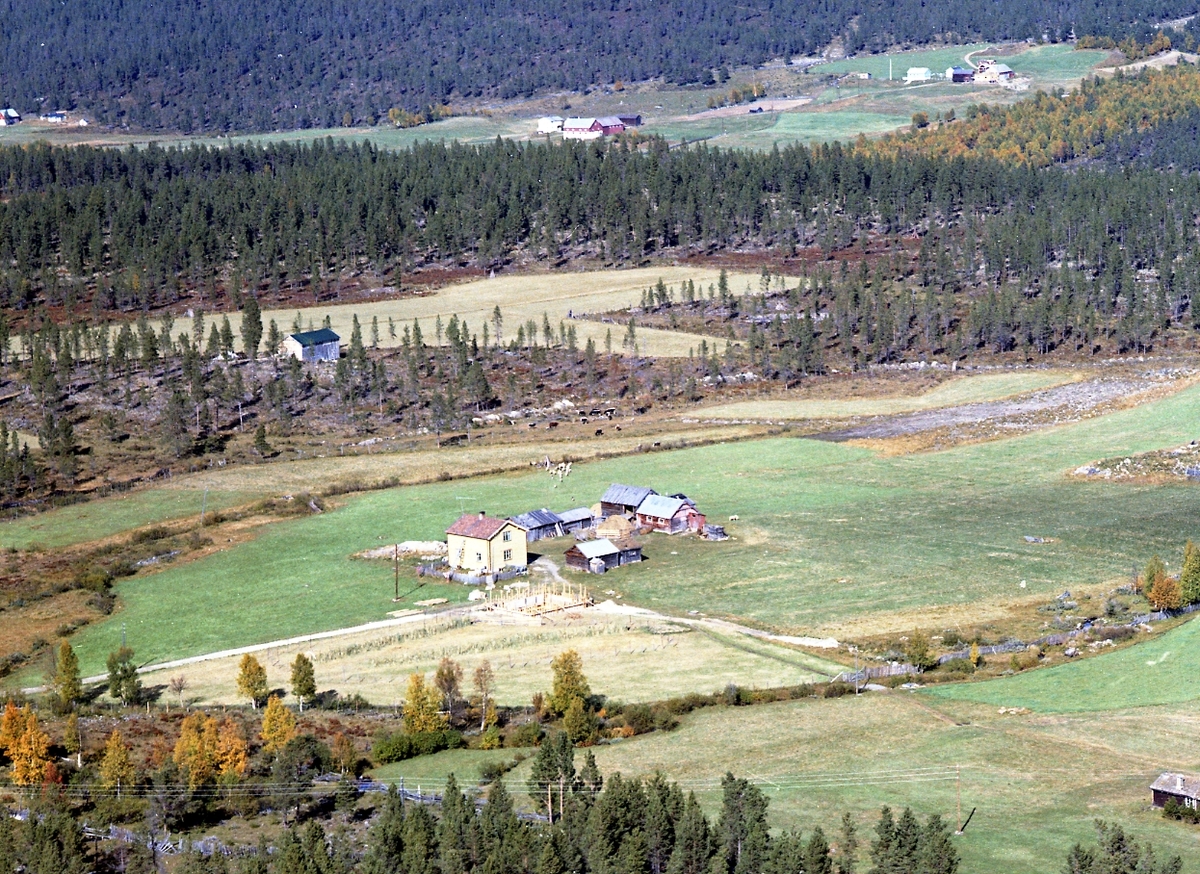 Widerøes Flyveselskap A/S, Flyfoto
