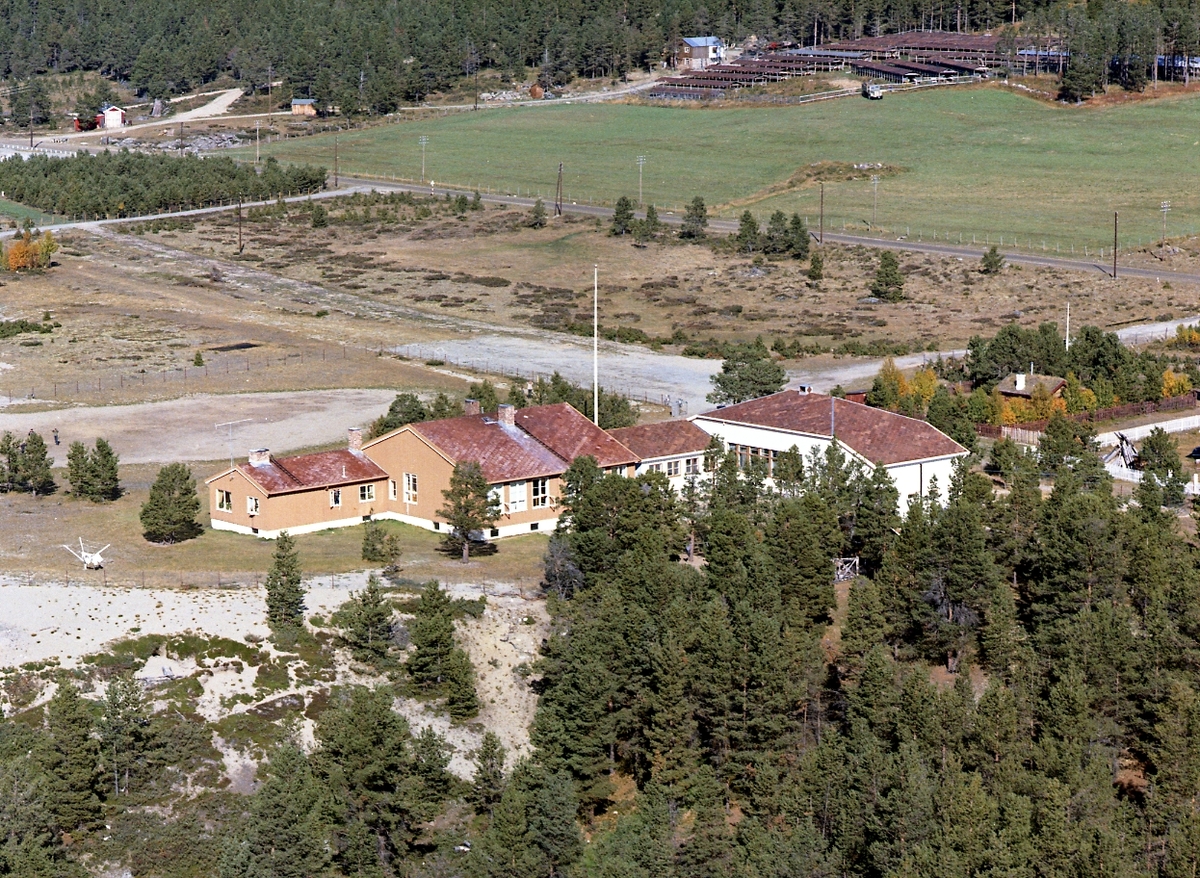 Widerøes Flyveselskap A/S, Flyfoto Dalen skule